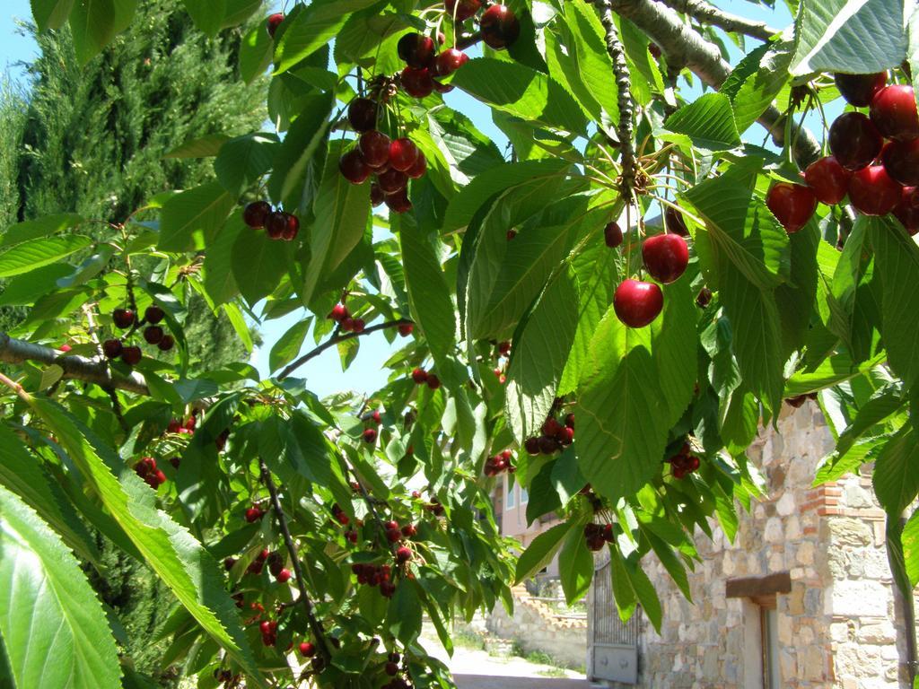 B&B Le Grazie Piaggine Ngoại thất bức ảnh