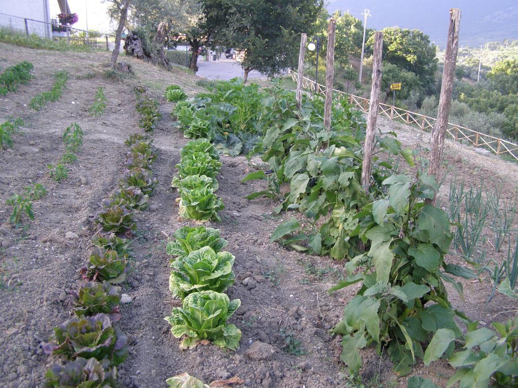 B&B Le Grazie Piaggine Ngoại thất bức ảnh